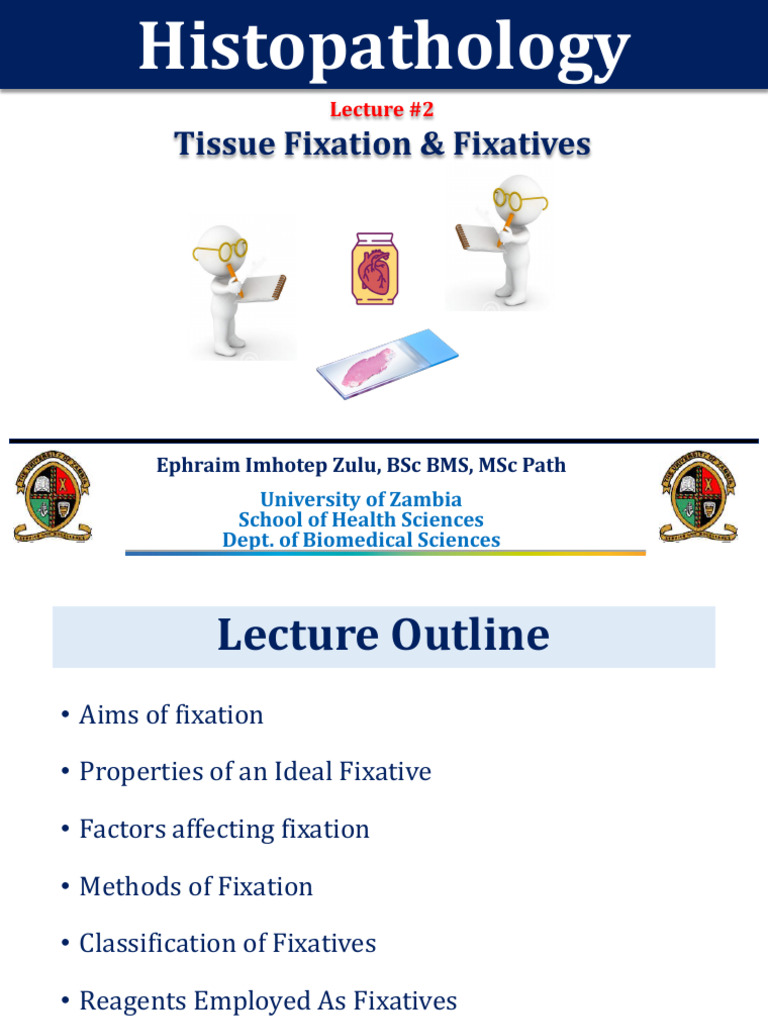 Histopathology - 02 - Fixation & Fixatives | PDF | Fixation (Histology ...