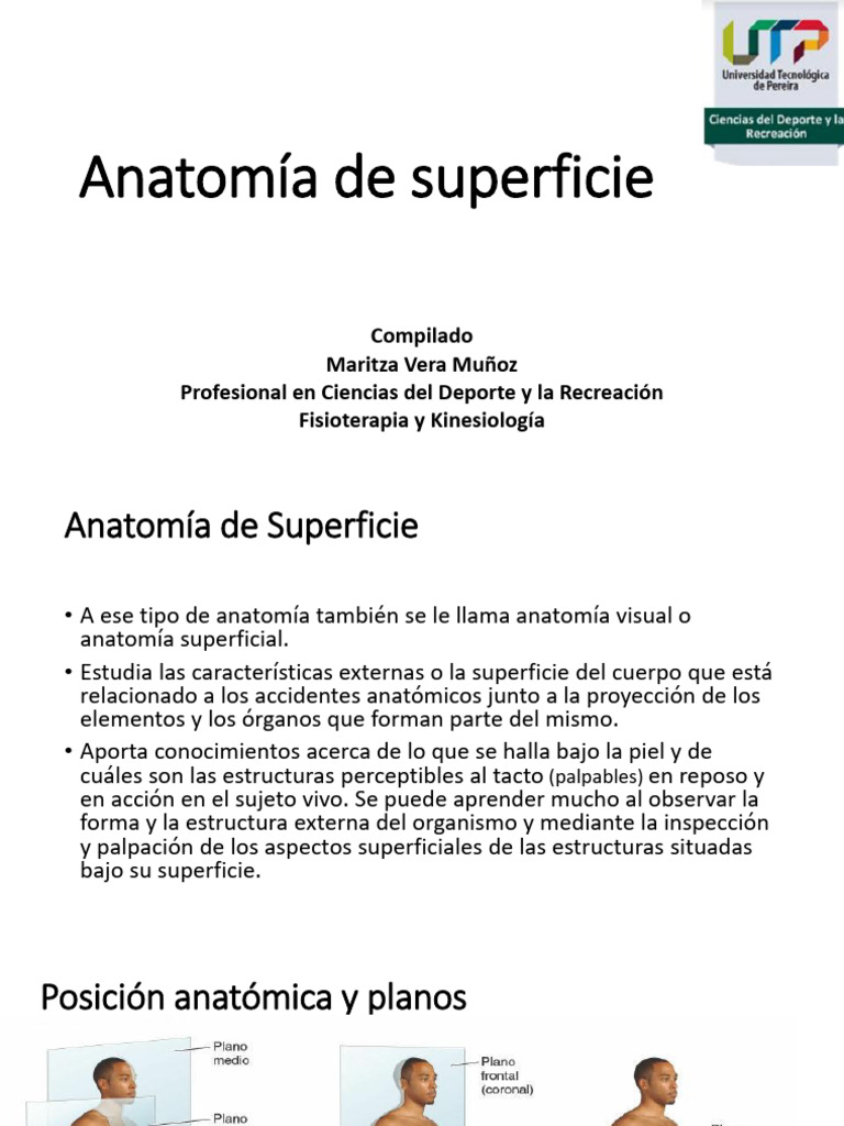 Anatomia de Superficie | PDF | Medicina | Especialidades Medicas