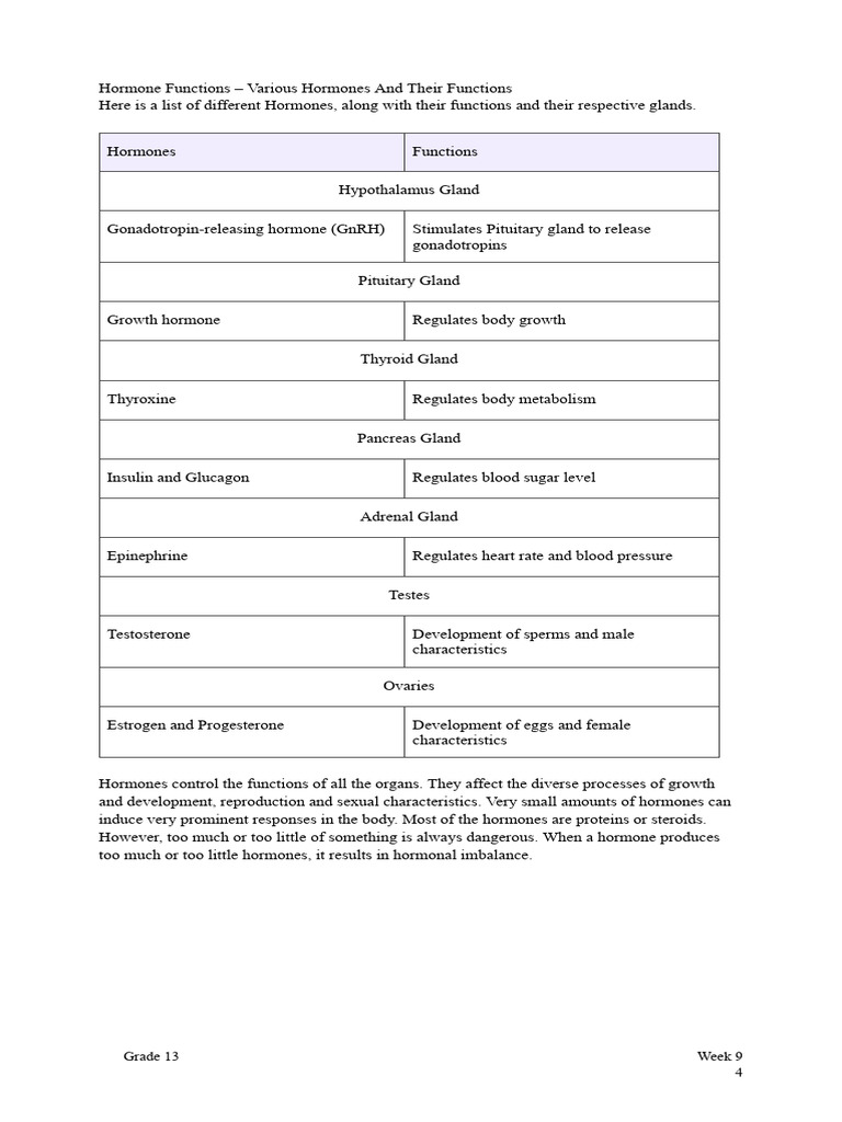 Endocrine System Notes | PDF