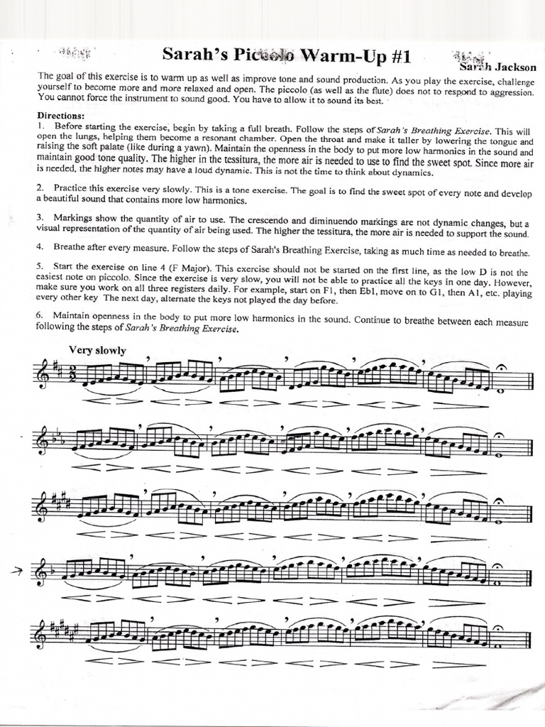 SJ and DT Piccolo Exercises (2430) | PDF