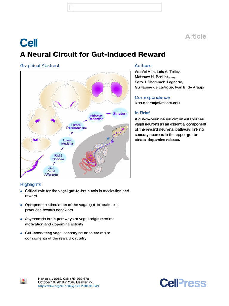 A Neural Circuit For Gut-Induced Reward | PDF | Reward System | Vagus Nerve
