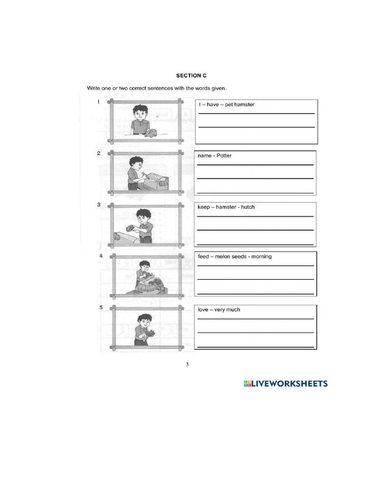 Writing Exercise | PDF