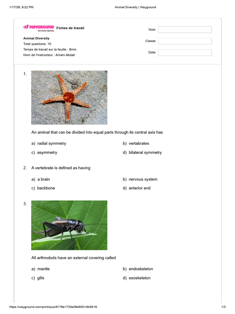 Animal Diversity - Worksheet | PDF | Vertebrates | Skeleton