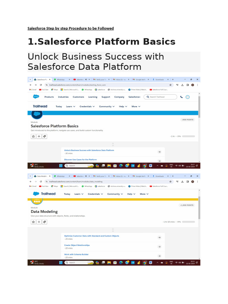 Salesforce Step by Step Procedure To Be Followed | PDF