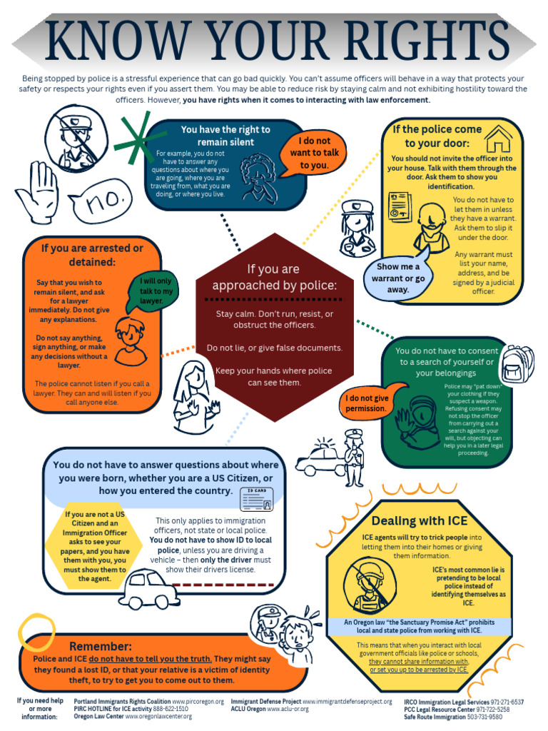 Know Your Rights Flyer English | PDF | Police | Crime & Violence