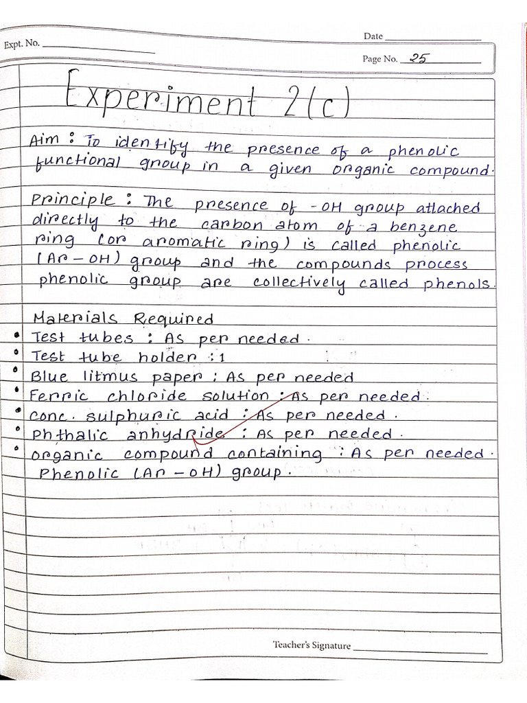 Experiment 2 (C) | PDF