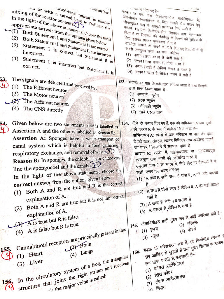 PW Real Test Question Solution | PDF