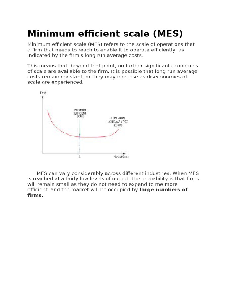 Minimum Efficient Scale | PDF
