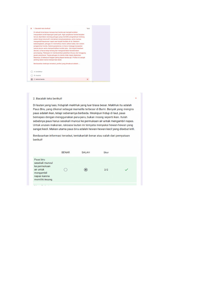 Soal Try Out | PDF