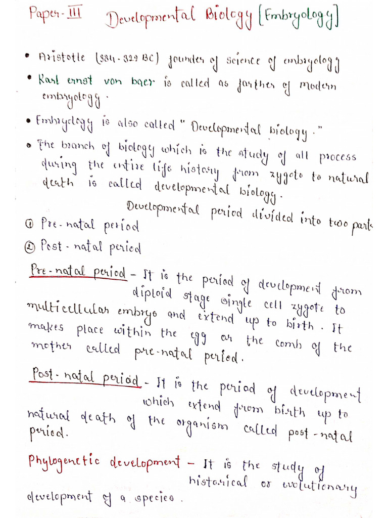 Development Biology Notes | PDF