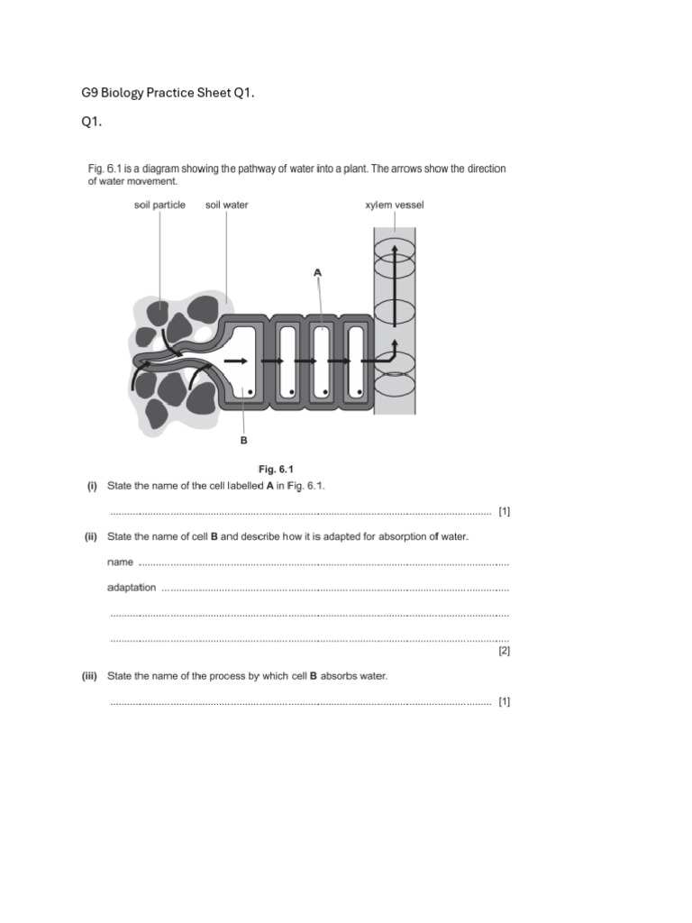 G9 Revision Sheet & MS | PDF