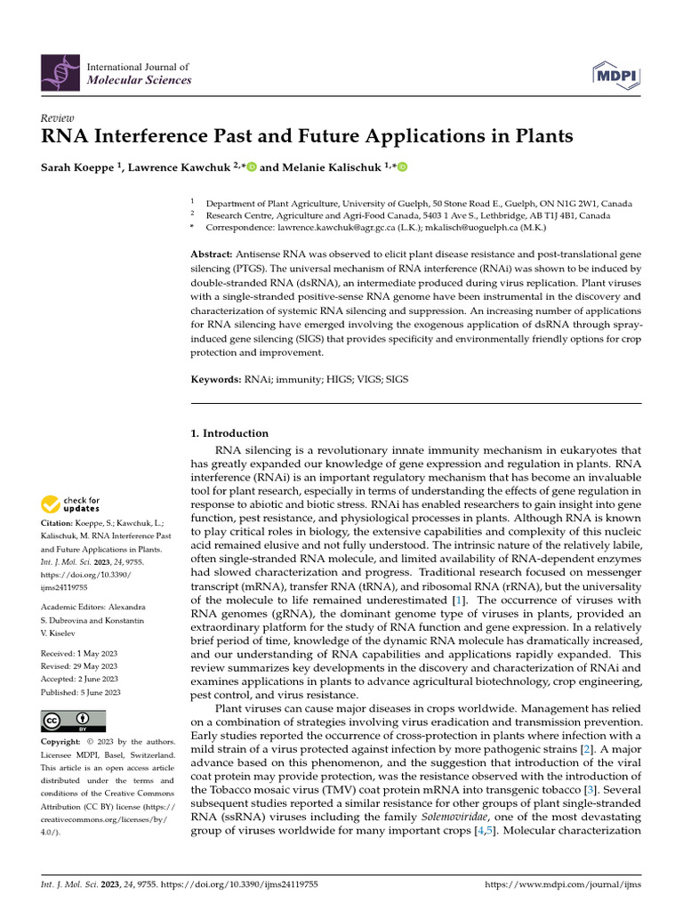 Rna Interfer Ans 2 | PDF | Rna Interference | Gene Silencing