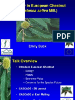 Diversity in European Chestnut (Castanea Sativa Mill.) : Emily Buck