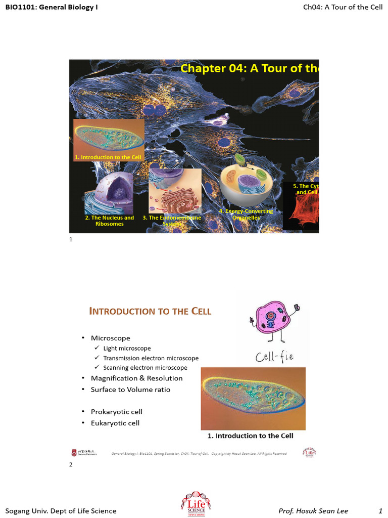 2026 Ch04 Tour of Cell | PDF
