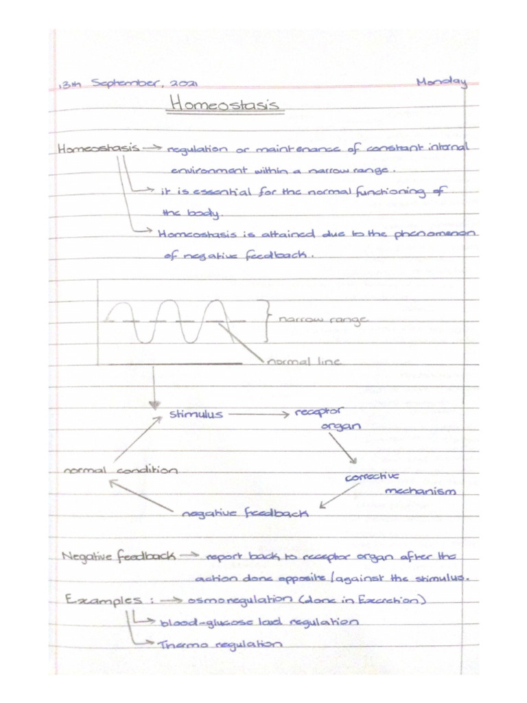 Homeostasis | PDF