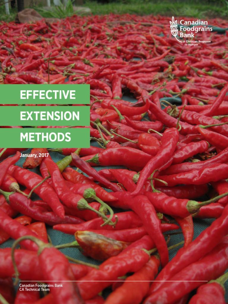 Extension Methods | PDF