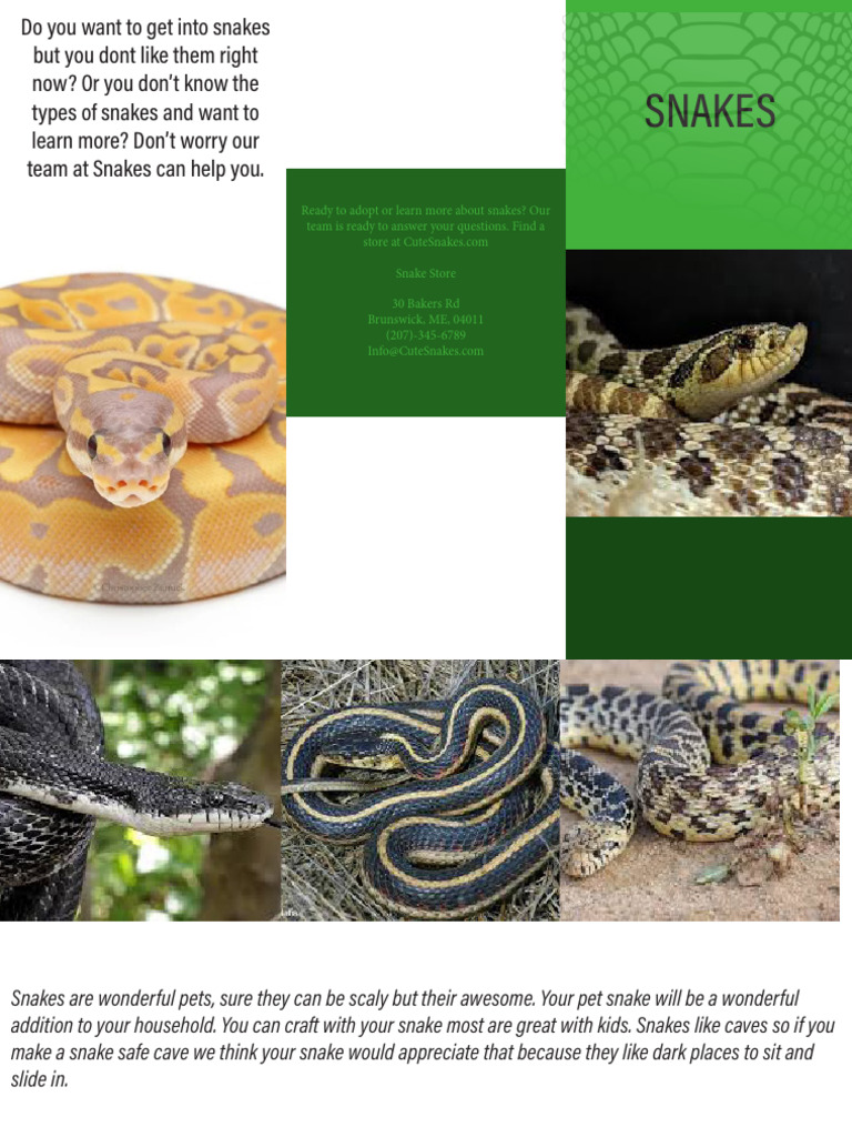 Tri Fold Project | PDF