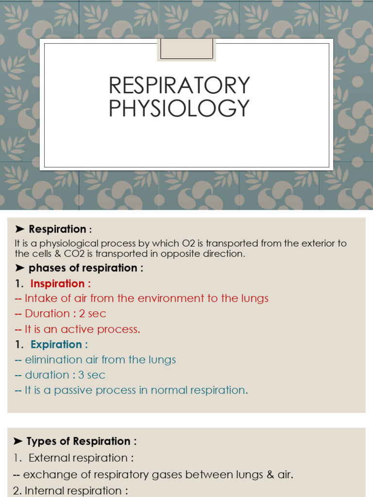 Respiratory Physiology | PDF | Exhalation | Respiratory System