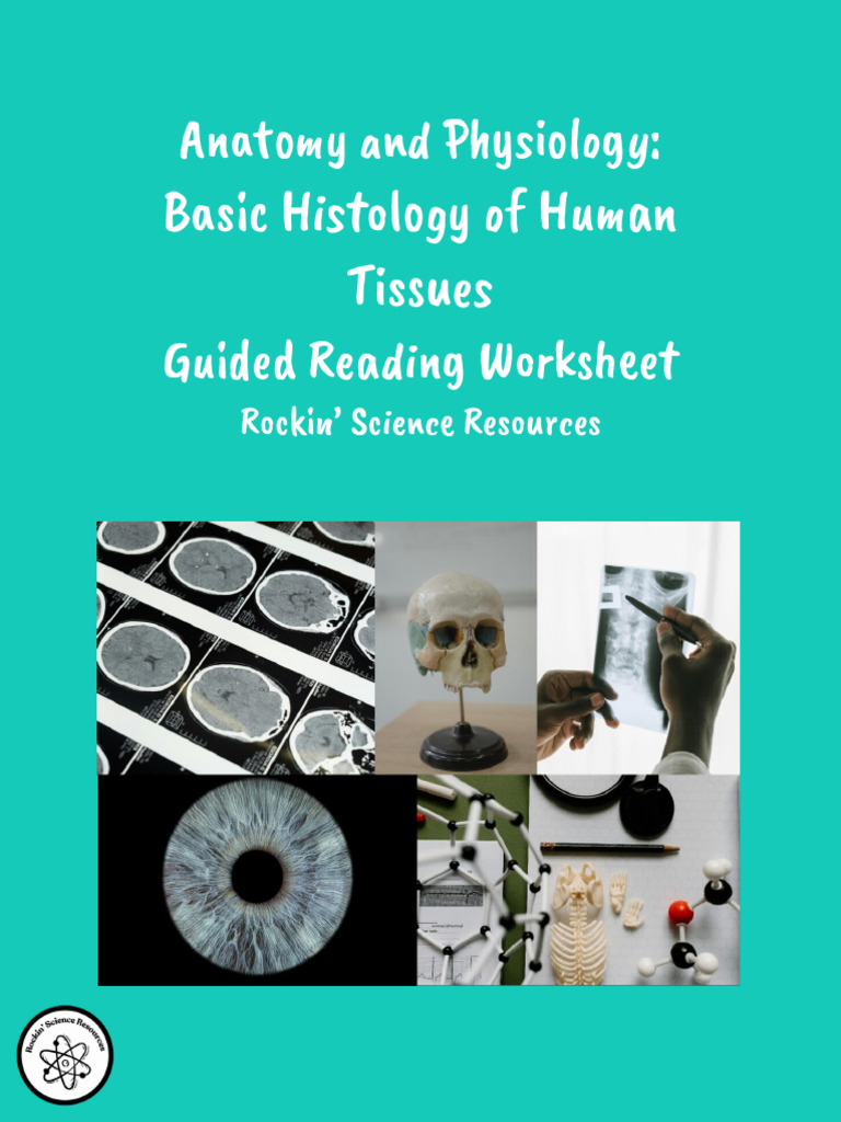 Basic Histology of Human Tissues - Guided Reading | PDF | Tissue ...