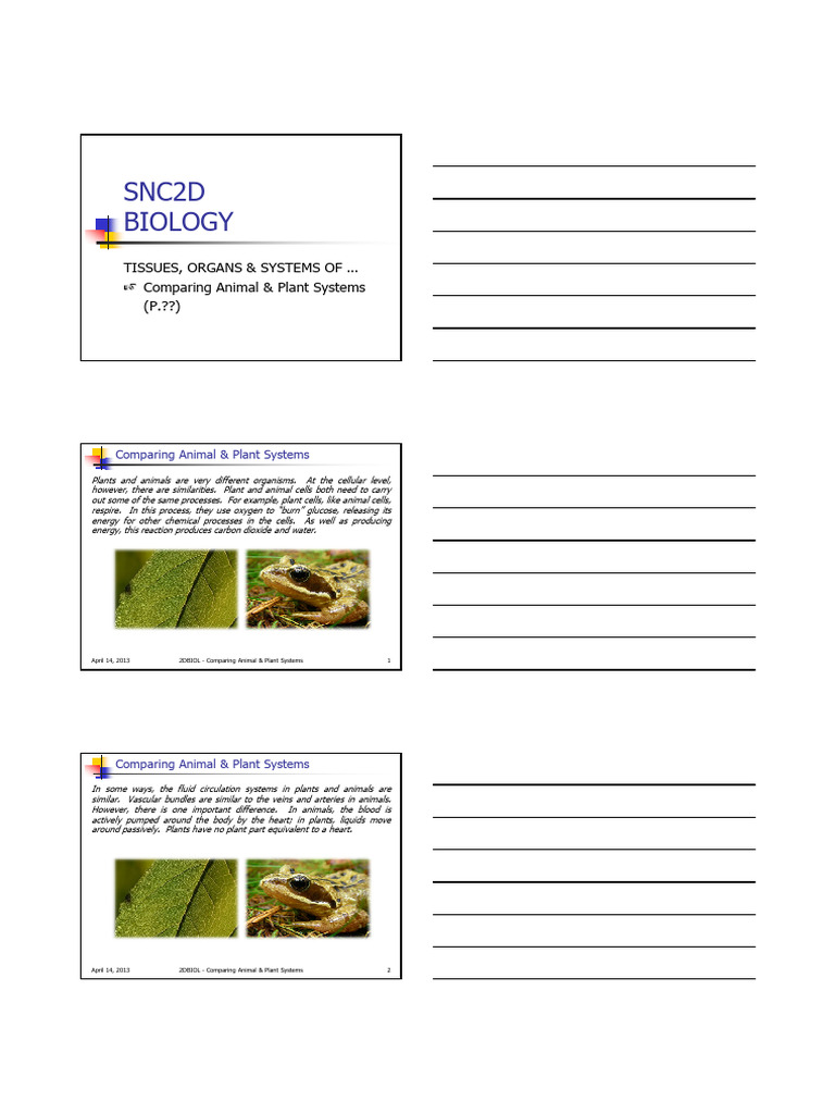 2DBIOL - PP20 (Comparing Animal & Plant Systems) | PDF | Plants | Blood ...