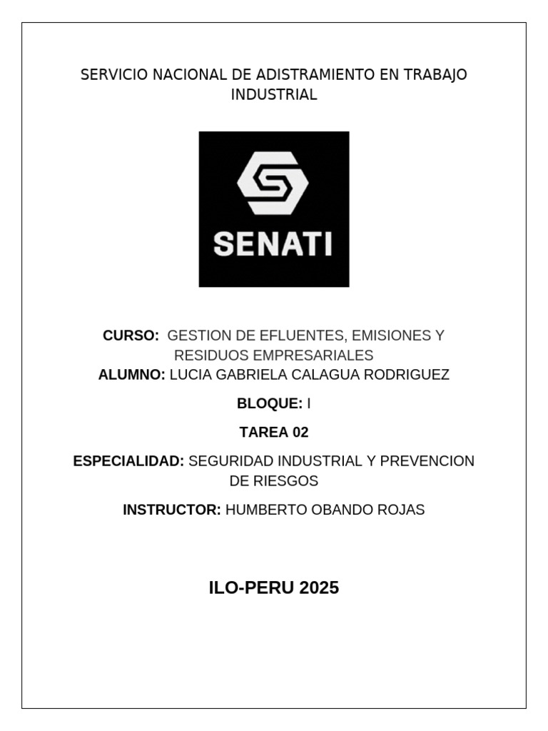Tarea 02 Gestion | PDF