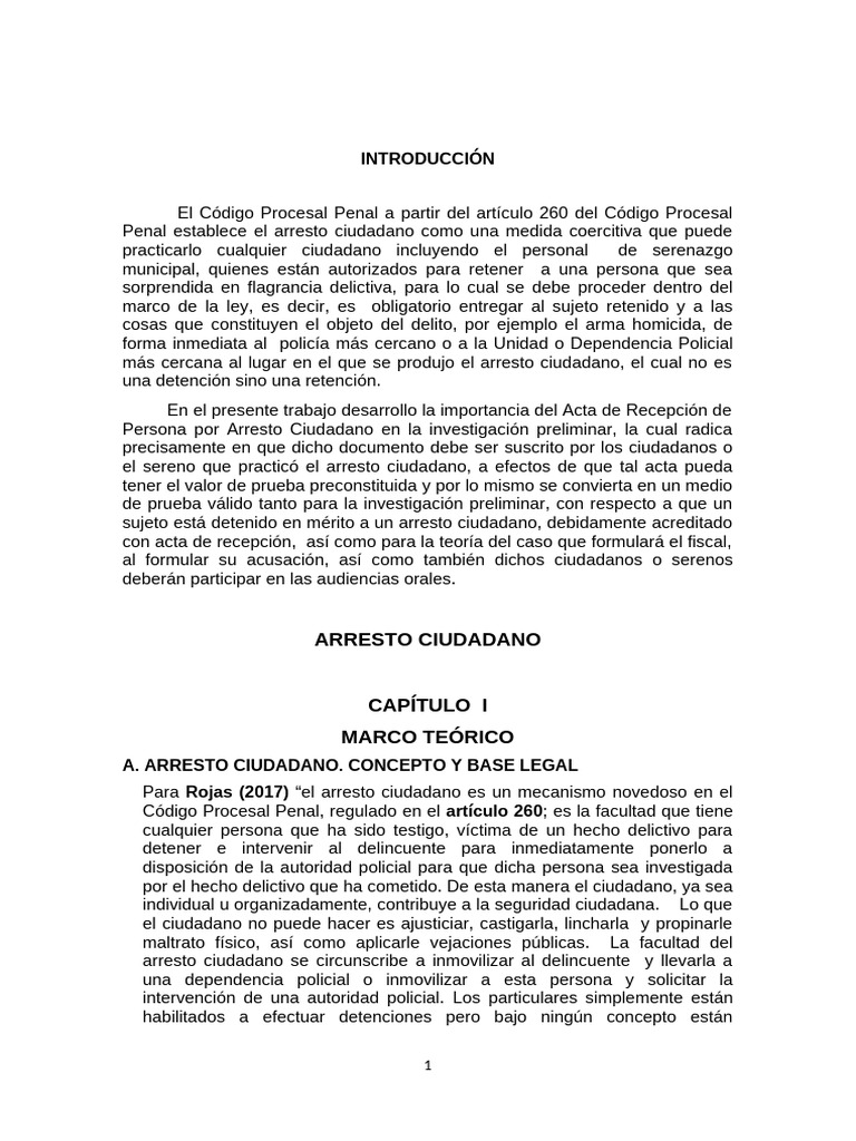 manuscrito arresto ciudadano okok enviar | PDF
