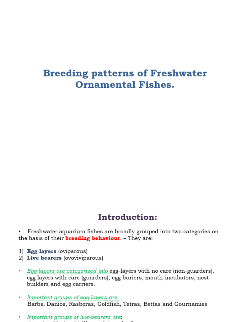 Breeding Patterns of Ornamental Fishes | PDF