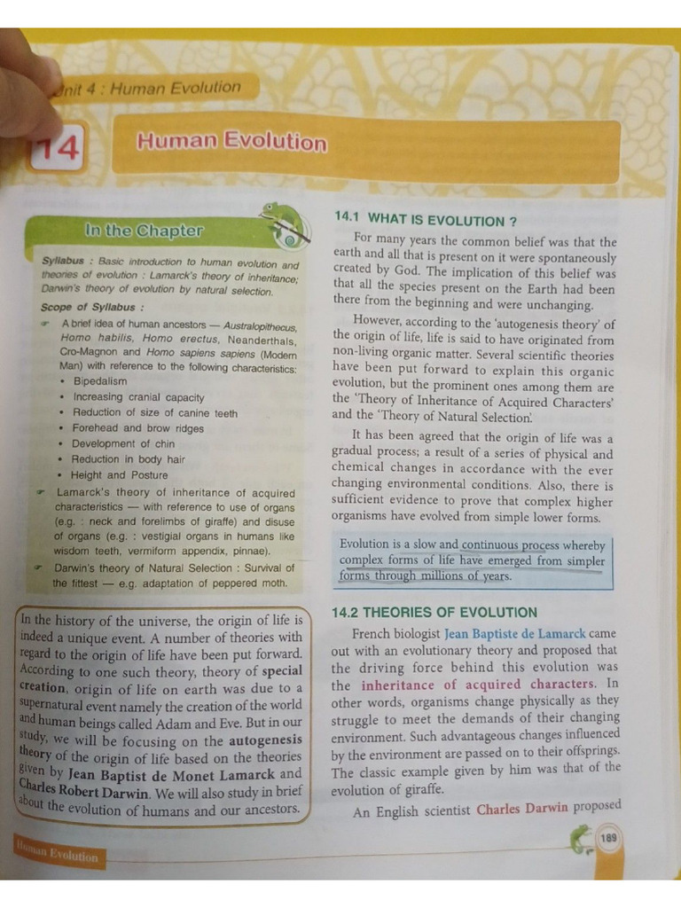 Ch-14 - Human Evolution | PDF