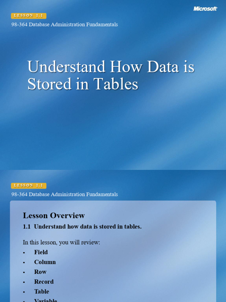 Understand How Data Is Stored in Tables | PDF