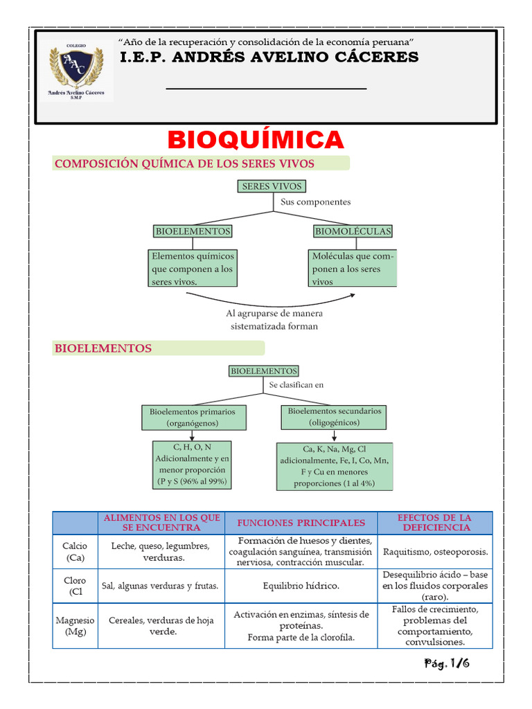 Ficha 04 - 1er. Sec. CTA - Composicion Química de Los Seres Vivos | PDF ...