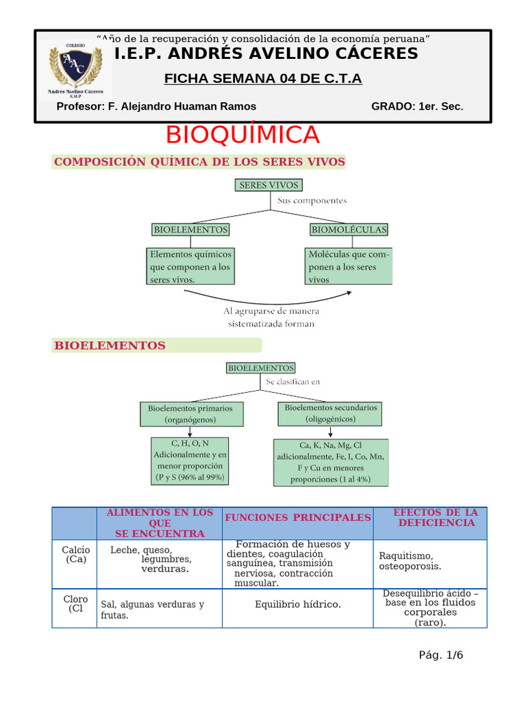Ficha 04 - 1er. Sec. CTA - Composicion Química de Los Seres Vivos | PDF