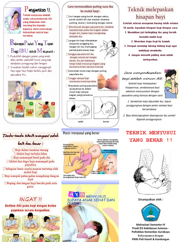 Leaflet Teknik Menyusui Yang Benar