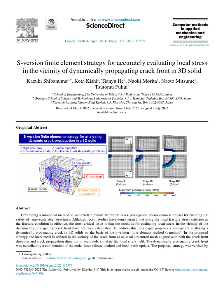 S-Version Finite Element Strategy For Accurately Evaluating Local ...