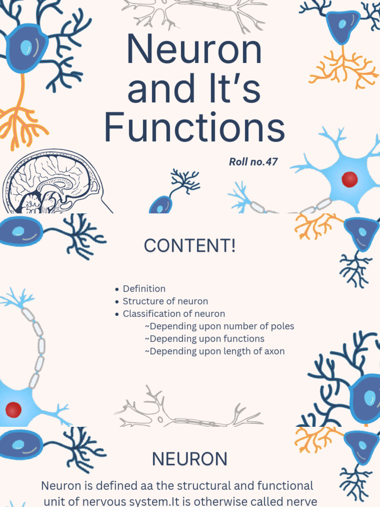 Blue Playful Human Neuron Group Project Presentation | PDF