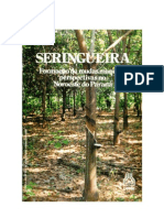 seringueira_iapar