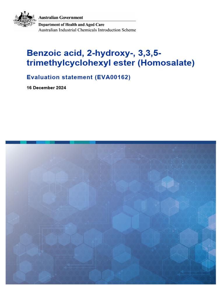 HOMOSALATE EVA00162 - Evaluation Statement - 16 December 2024 | PDF ...
