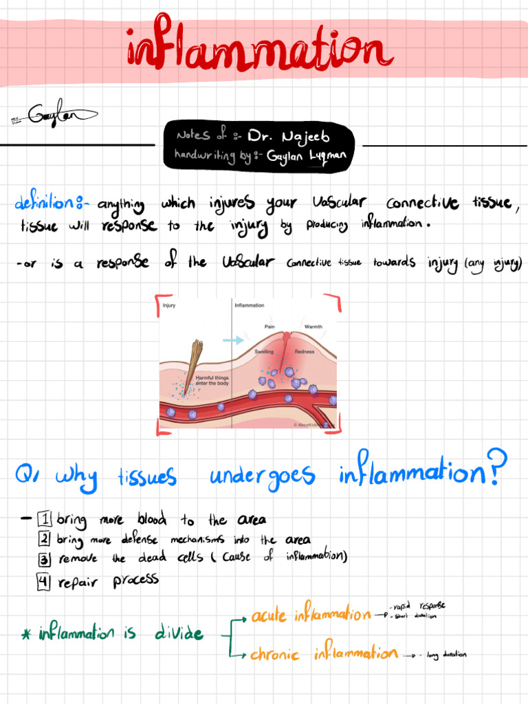 Inflammation | PDF | Inflammation | Blood Vessel