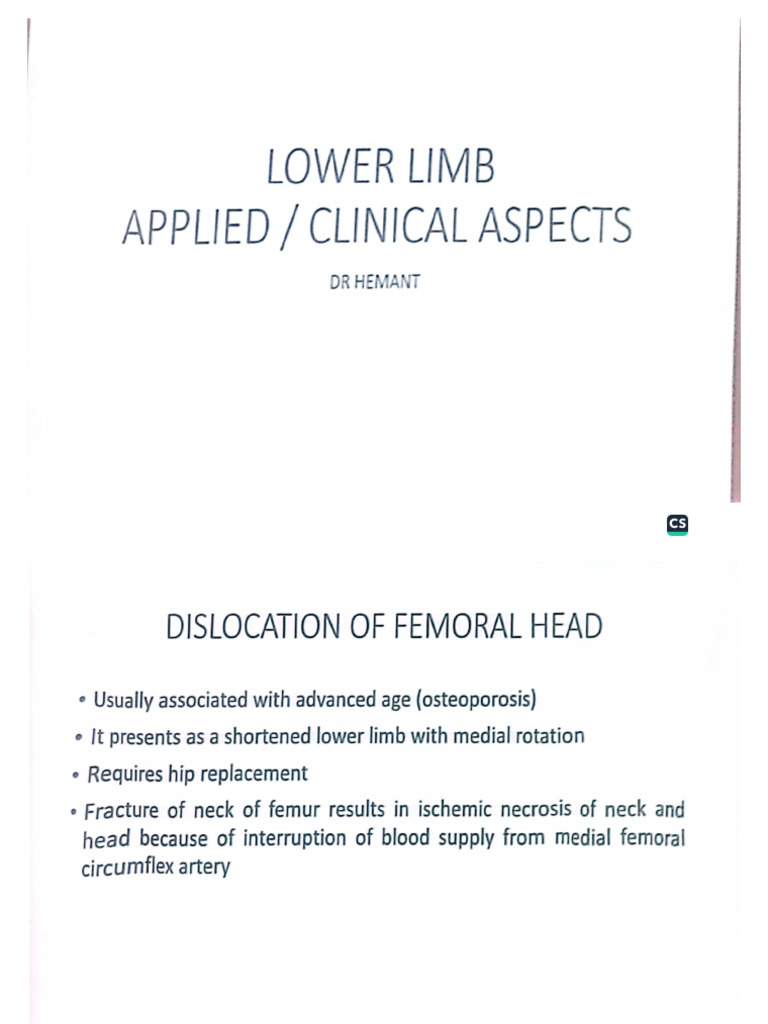 Lower Limb Clinical | PDF