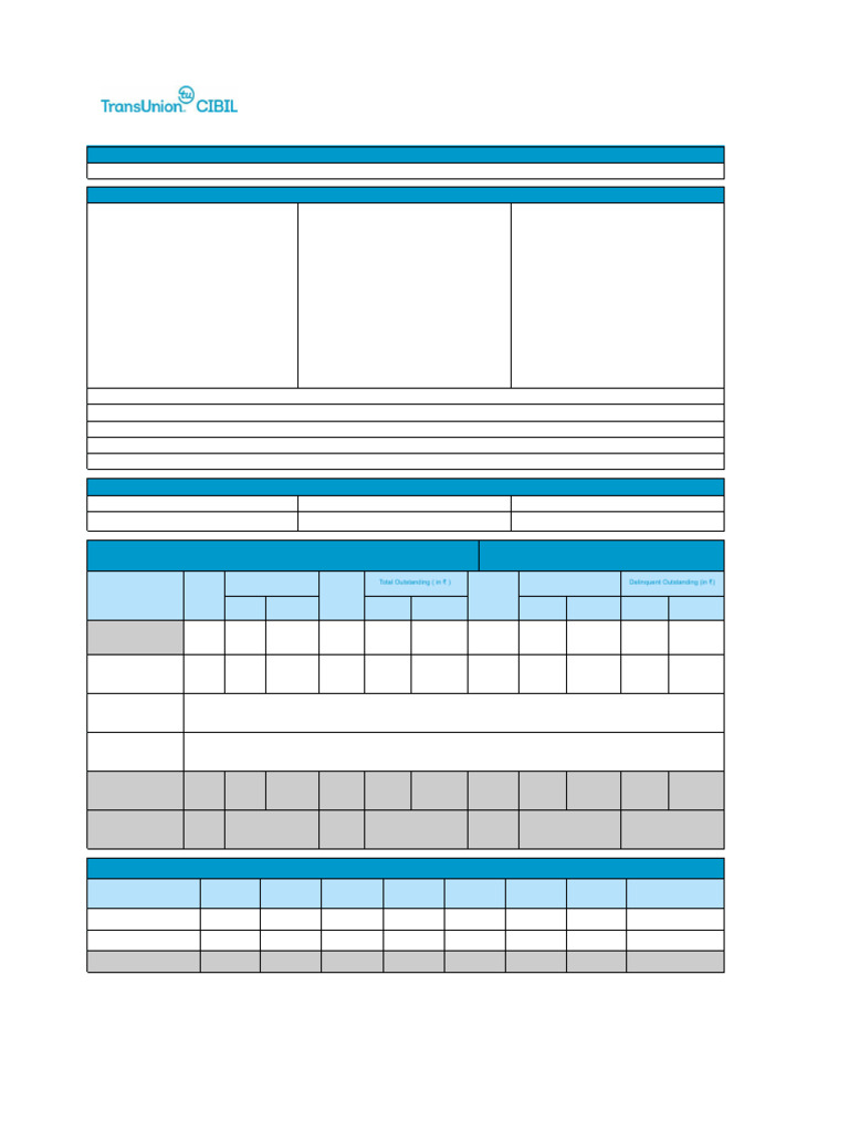 Comm Sample Commercial Report 3rd Oct | PDF | Line Of Credit | Credit