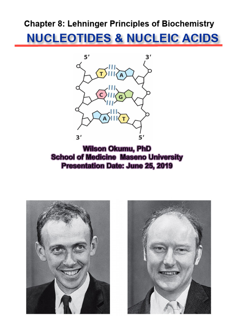 Lecture 30 - Nucleotides and Nucleic Acids - Part I | PDF
