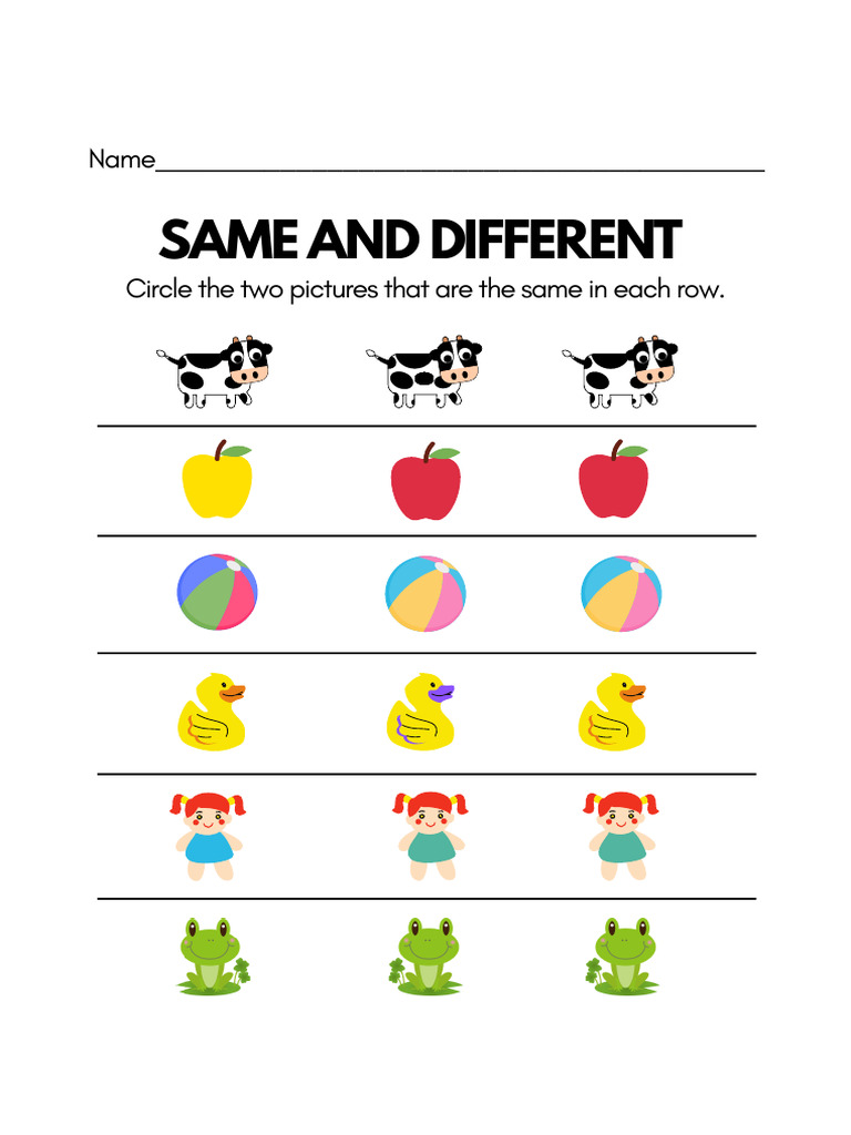 Same and Different Activity Worksheet | PDF