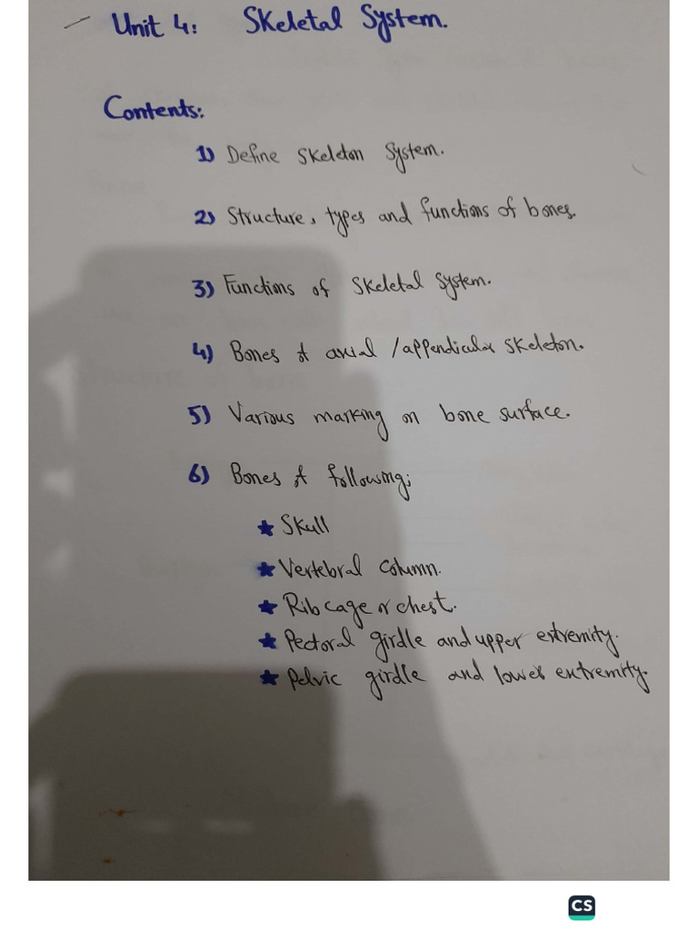 Unit. Skeleton System | PDF