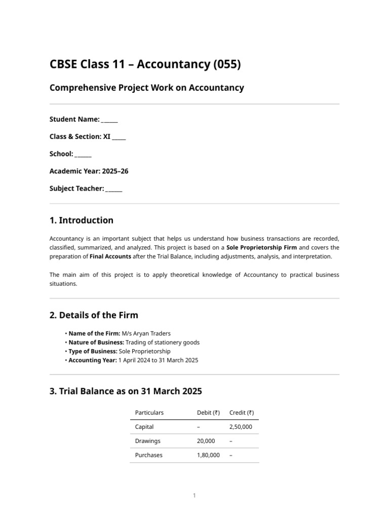 Cbse Class 11 Accountancy Project - Comprehensive Project Work | PDF