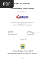 Customer Satisfaction Analysis at Indiamart: Dissertation Project On