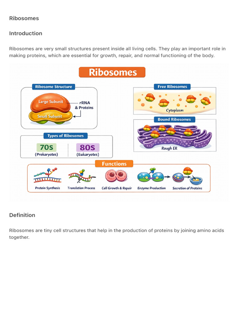 Ribosomes | PDF