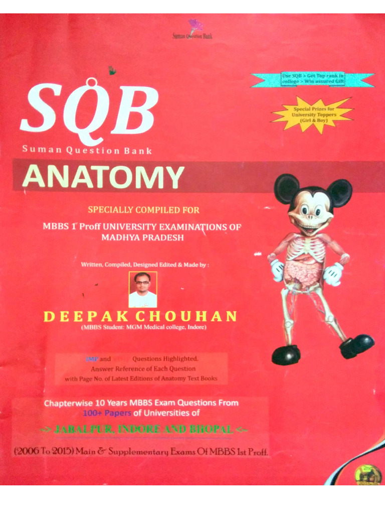 SQB Anatomy | PDF