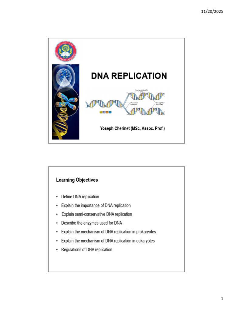 DNA Replication | PDF | Dna Replication | Dna