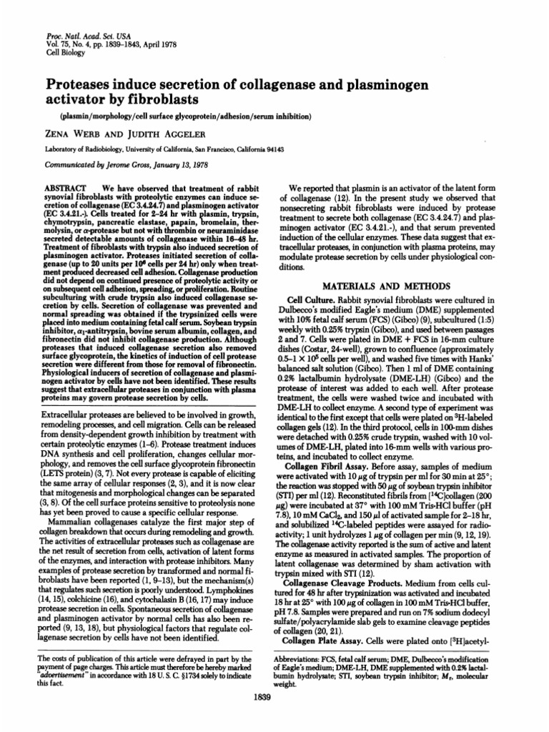 Proteases Induce Secretion of Collagenase and Plasminogen Activator by ...