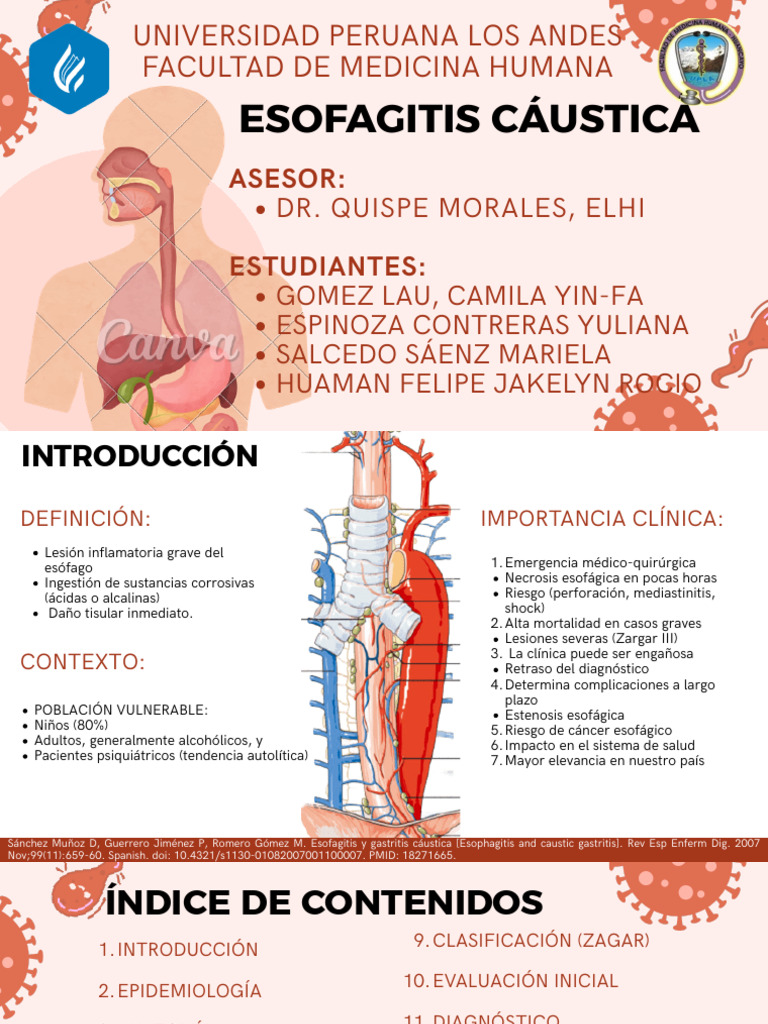 Esofagitis Cáustica | PDF | Gastroenterología | Hidróxido