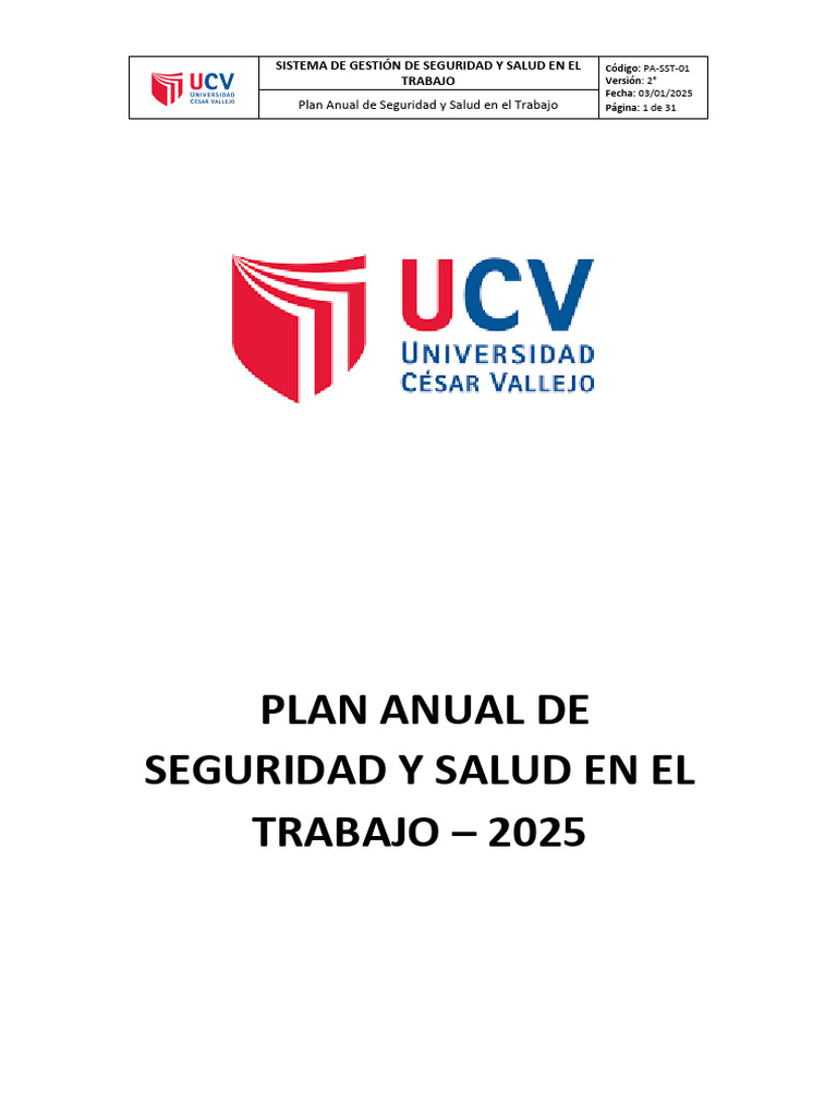 Pa-Sst-01 - Plan Anual de Seguridad y Salud en El Trabajo Ok | PDF ...